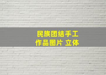 民族团结手工作品图片 立体